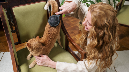 Grooming Tips for Happy Pets
